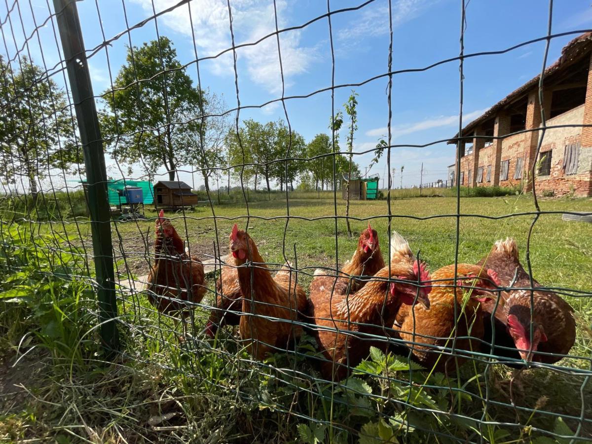 Agriturismo Cascina Mora Pavia Dış mekan fotoğraf