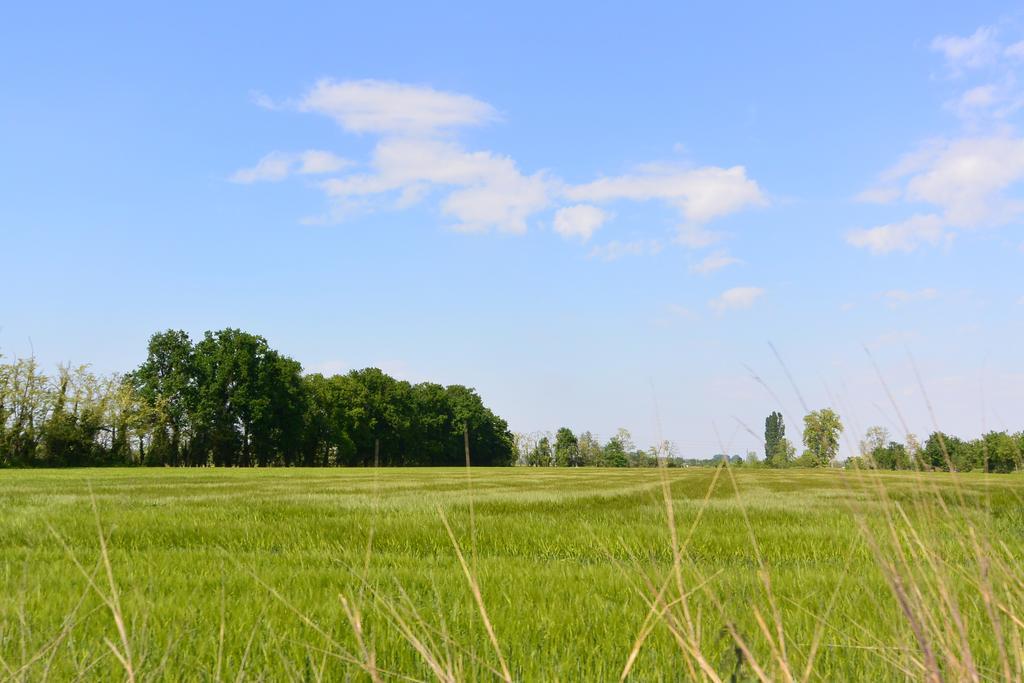 Agriturismo Cascina Mora Pavia Dış mekan fotoğraf