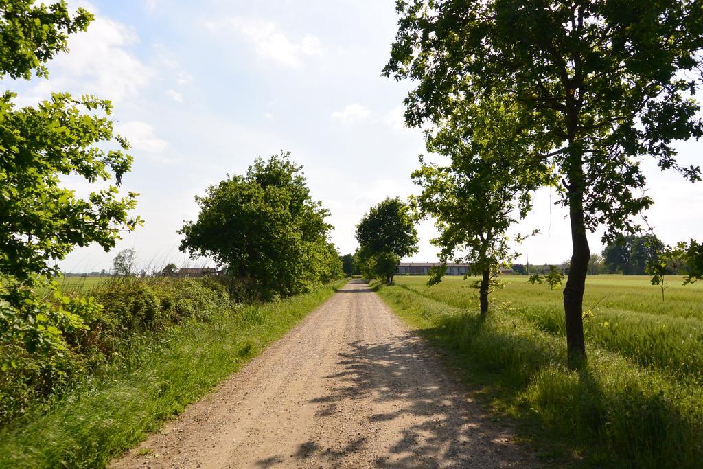 Agriturismo Cascina Mora Pavia Dış mekan fotoğraf